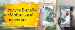 Связи разные – перевод реальный. Как с Билайна перевести на другой номер?