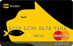 В 2018 оператор Билайн увеличил цену и изменил бонусы по своей карте. Что ждет владельцев в 2021?